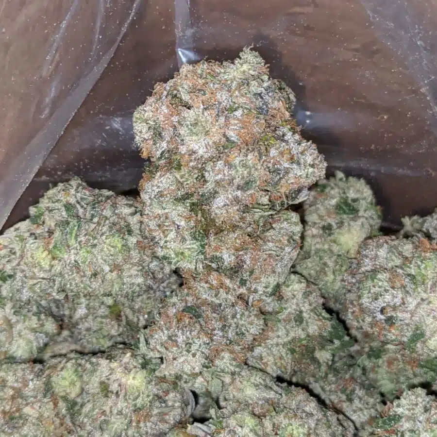 greenfarm mk ultra 2 I Greenfarm's MK Ultra