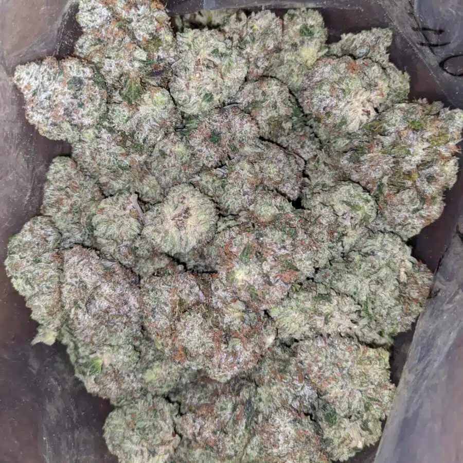 greenfarm mk ultra 3 I Greenfarm's MK Ultra