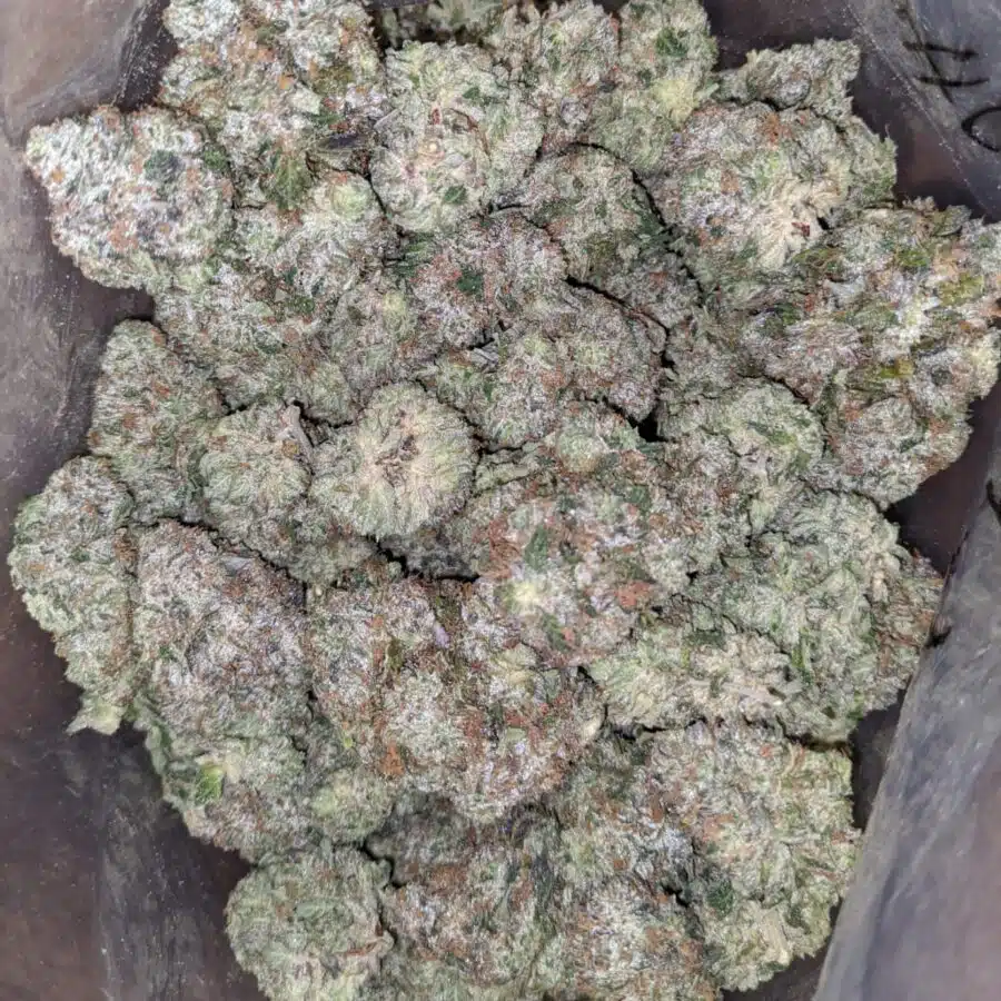 greenfarm mk ultra 4 I Greenfarm's MK Ultra