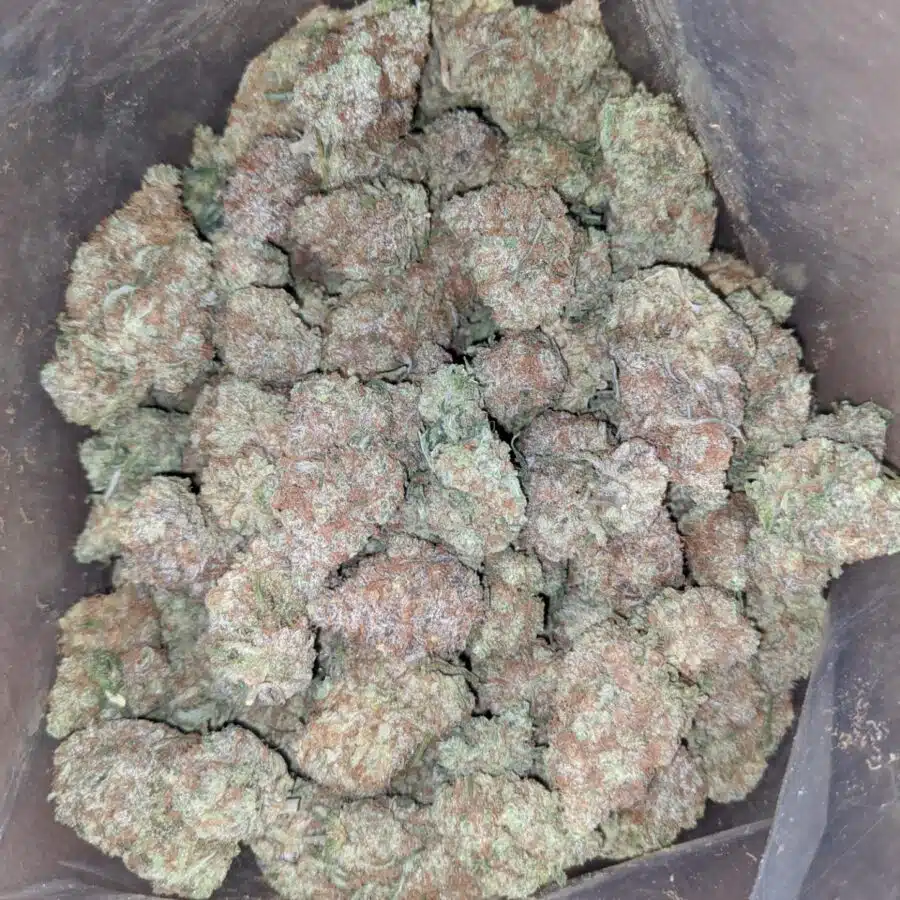 island punch 2 I $ 56 Oz - Island Punch