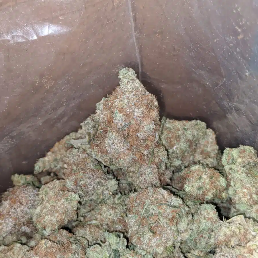 island punch 4 I $ 56 Oz - Island Punch