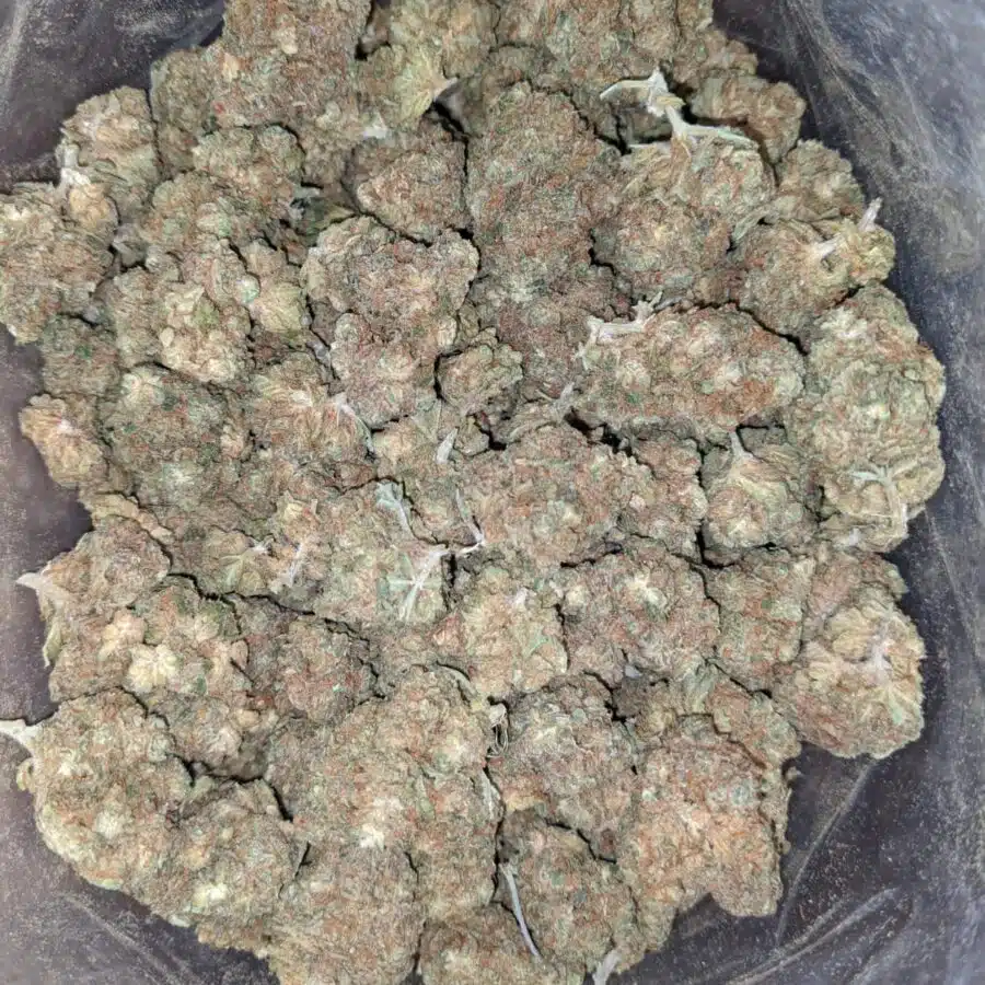 lemon diesel smalls bulk special 1 I $ 38 Oz - Lemon Diesel