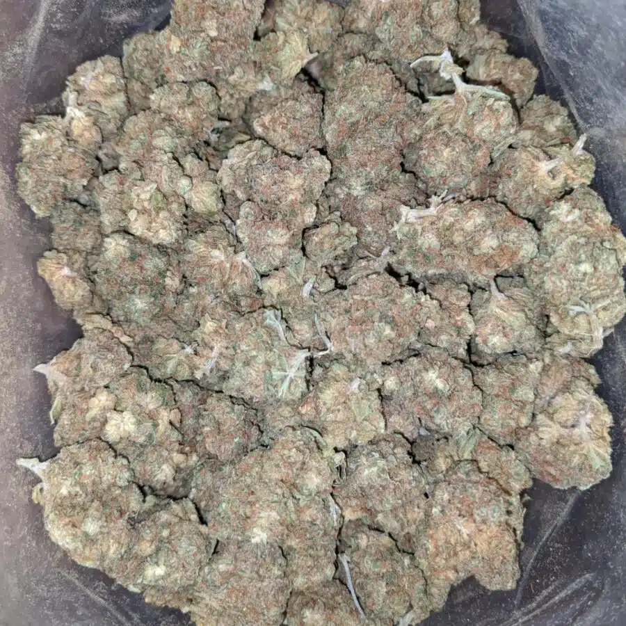 lemon diesel smalls bulk special 2 I $ 38 Oz - Lemon Diesel