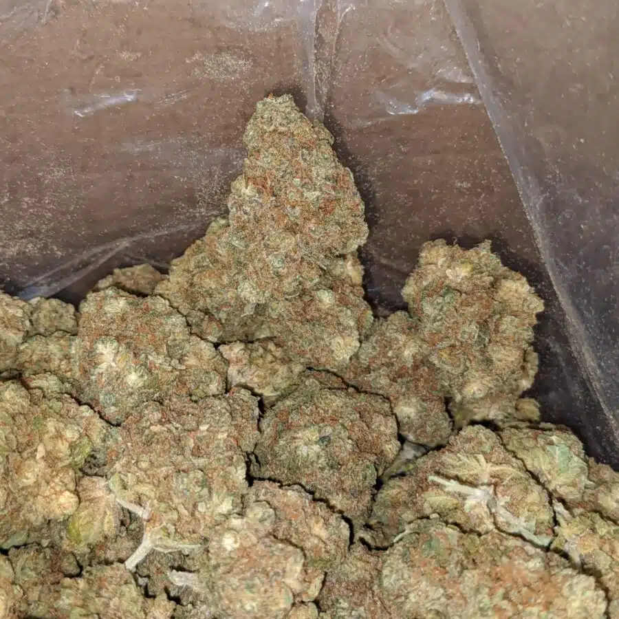 lemon diesel smalls bulk special 3 I $ 38 Oz - Lemon Diesel