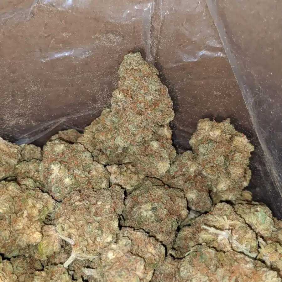 lemon diesel smalls bulk special 4 I $ 38 Oz - Lemon Diesel
