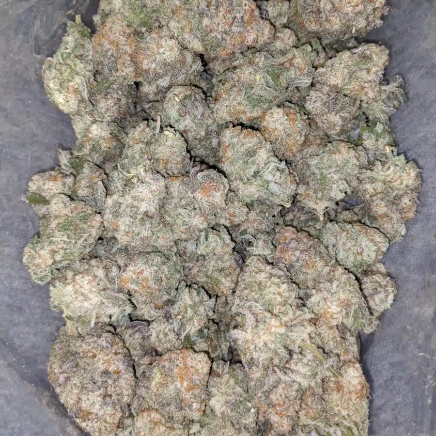 mac 10 x cookies 1 I Mac 10 X Cookies