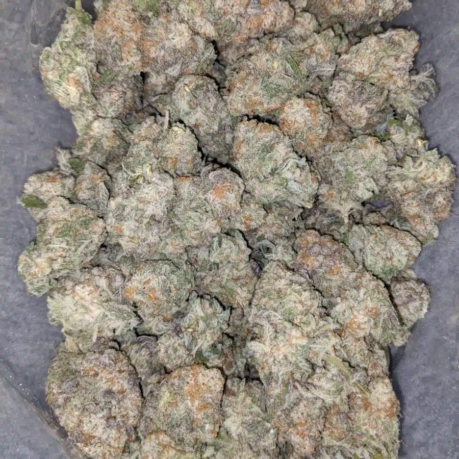 mac 10 x cookies 2 I Mac 10 X Cookies