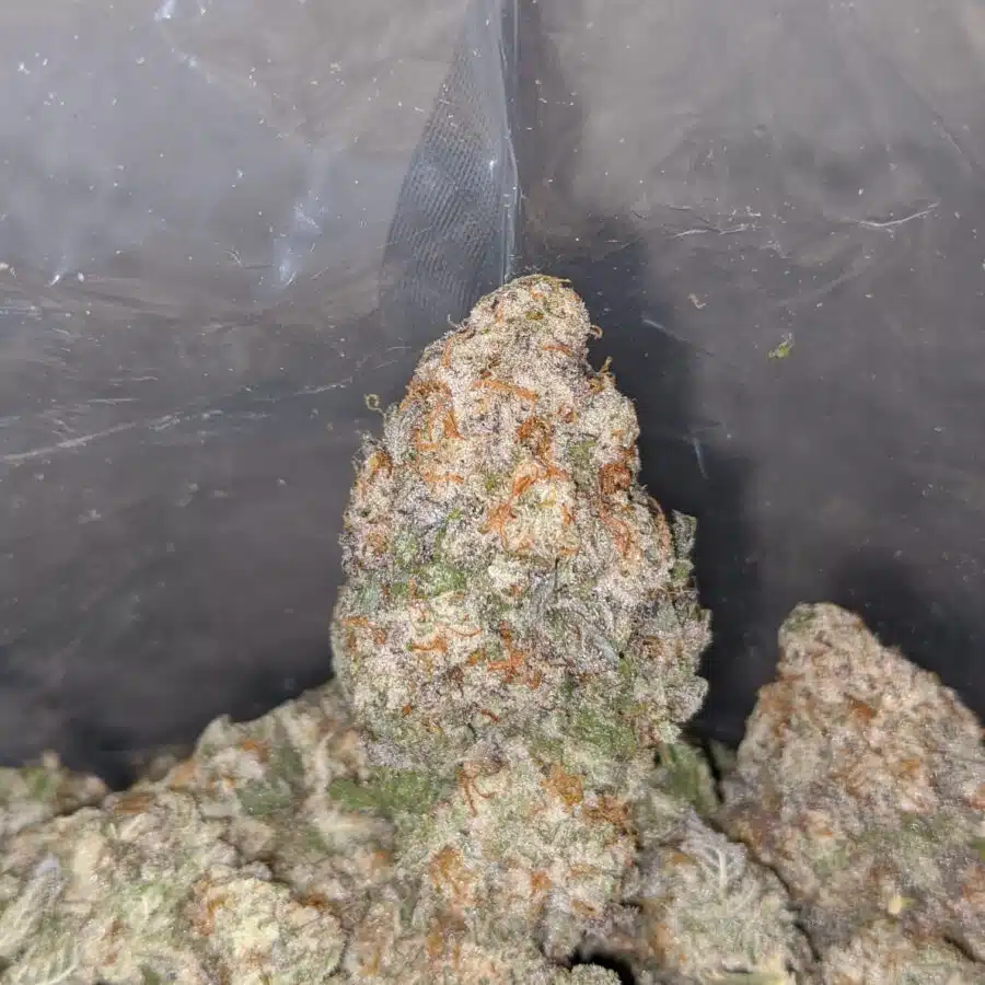 mac 10 x cookies 3 I Mac 10 X Cookies