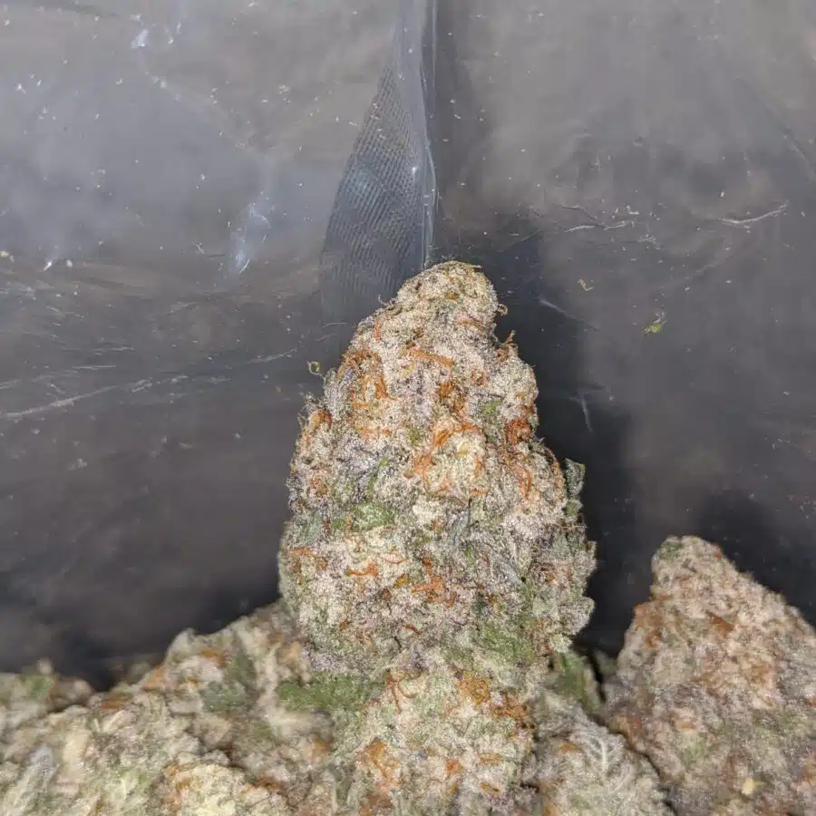 mac 10 x cookies 4 I Mac 10 X Cookies