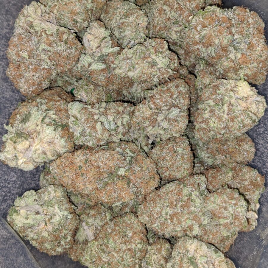 og cheese 1 I OG Cheese