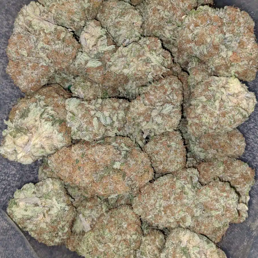 og cheese 1 I OG Cheese