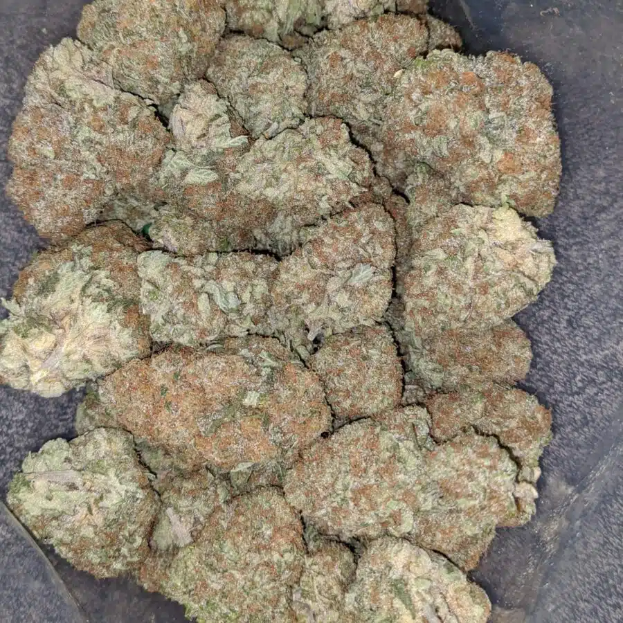 og cheese 2 I OG Cheese