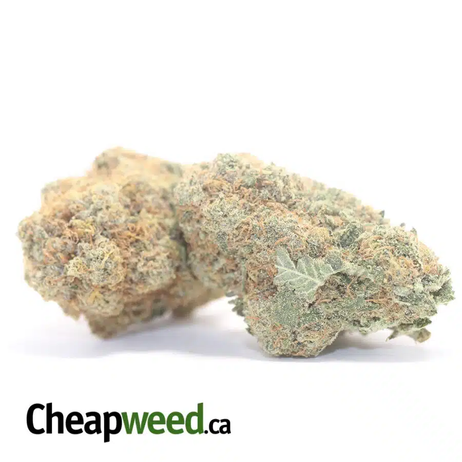 Alternative view of OG Cheese