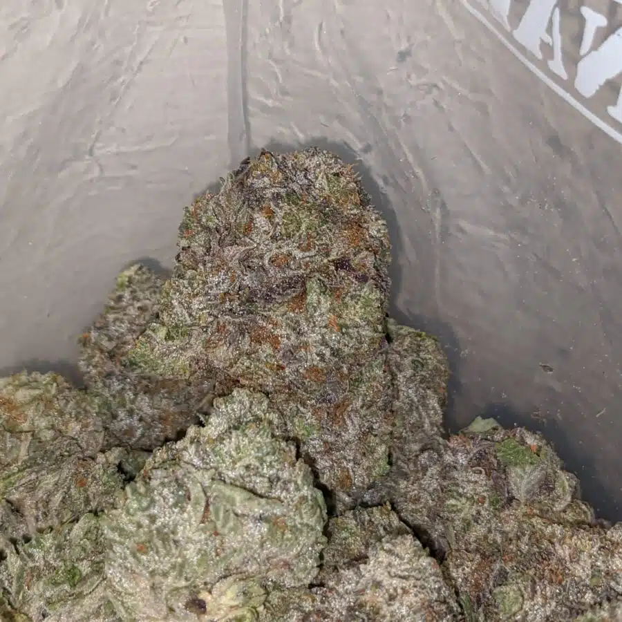 pink goo aaaa 3 I Pink Goo AAAA #2
