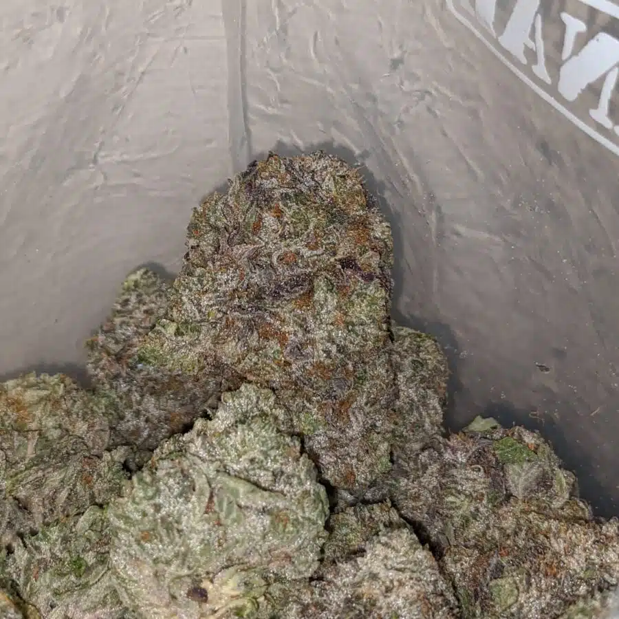pink goo aaaa 4 I Pink Goo AAAA #2