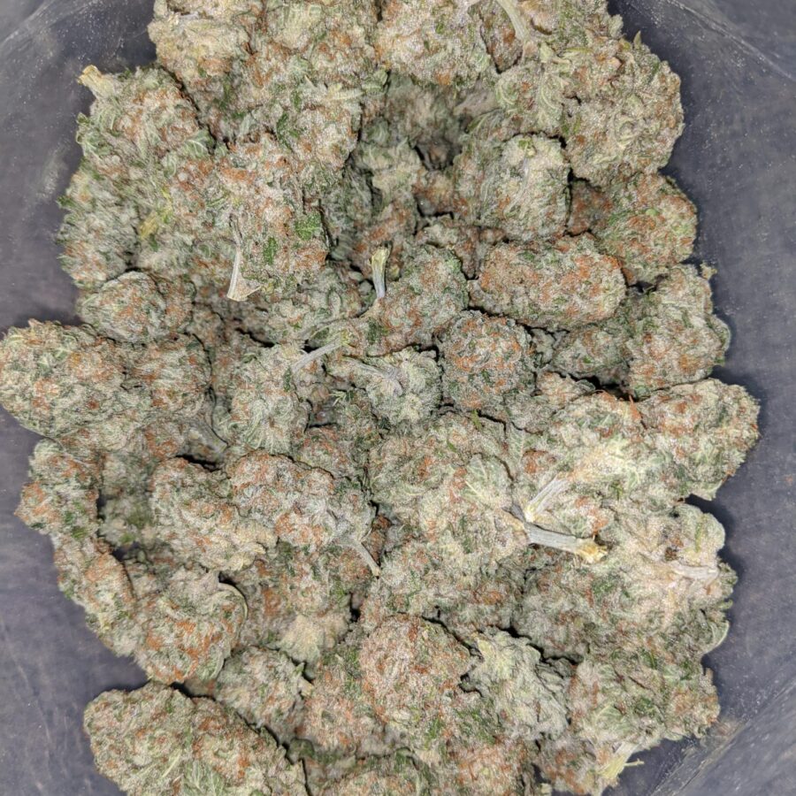 scout master cookies 1 I Scout Master Cookies