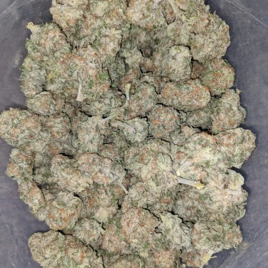 scout master cookies 1 I Scout Master Cookies