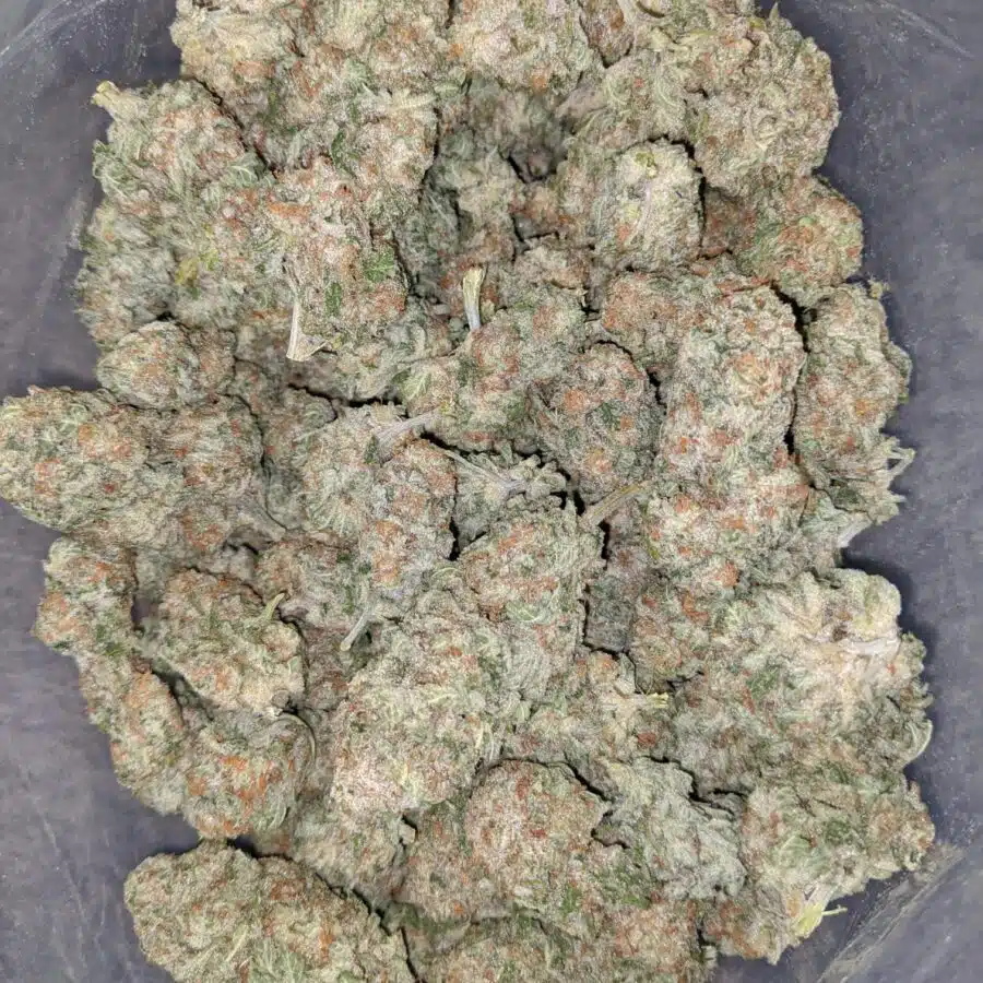 scout master cookies 2 I Scout Master Cookies