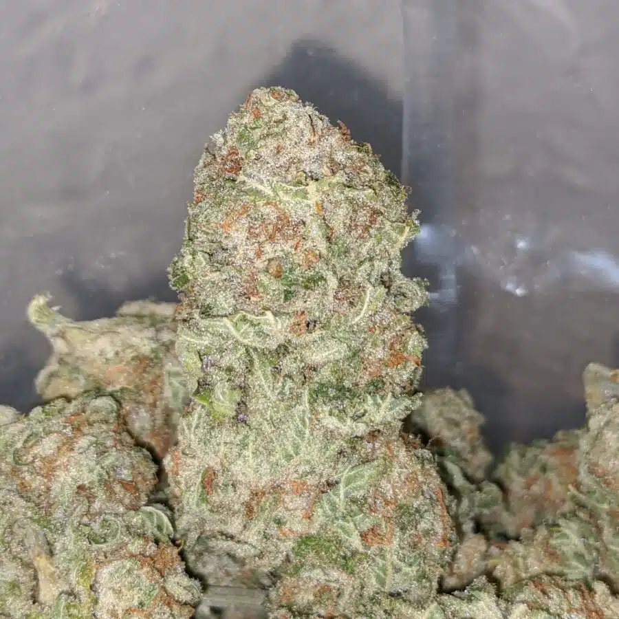 scout master cookies 3 I Scout Master Cookies