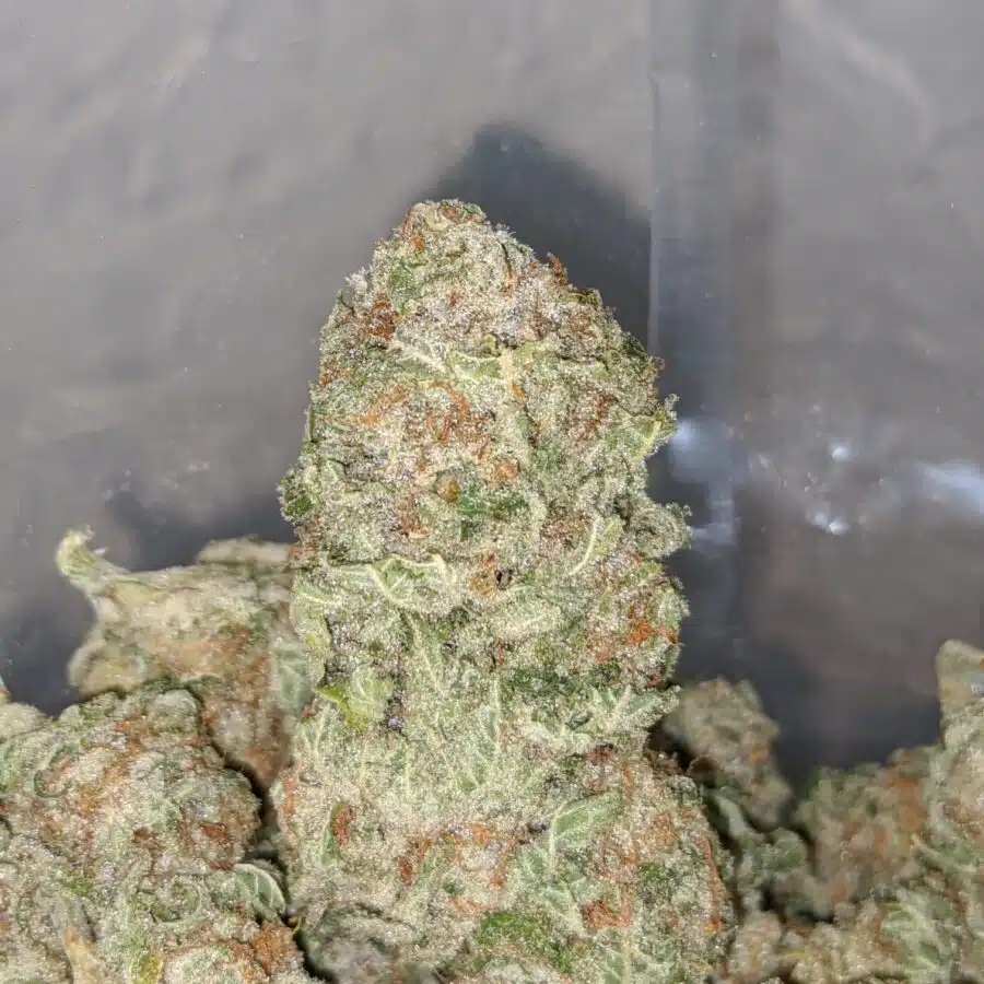 scout master cookies 4 I Scout Master Cookies