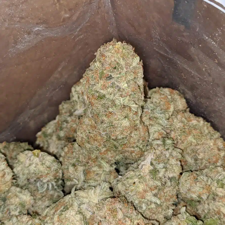 sunset cookies 4 1 I Sunset Cookies