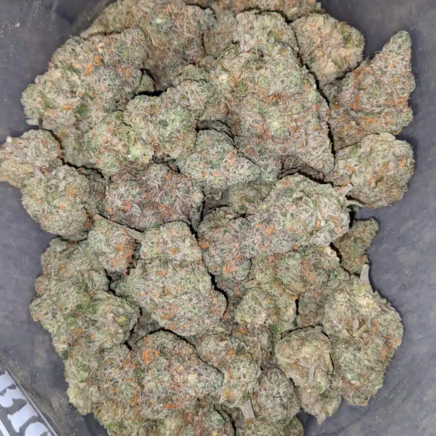 tropic thunder 1 I Tropic Thunder