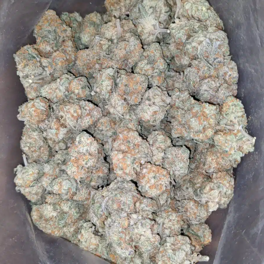 Acapulco gold 4 I Acapulco Gold