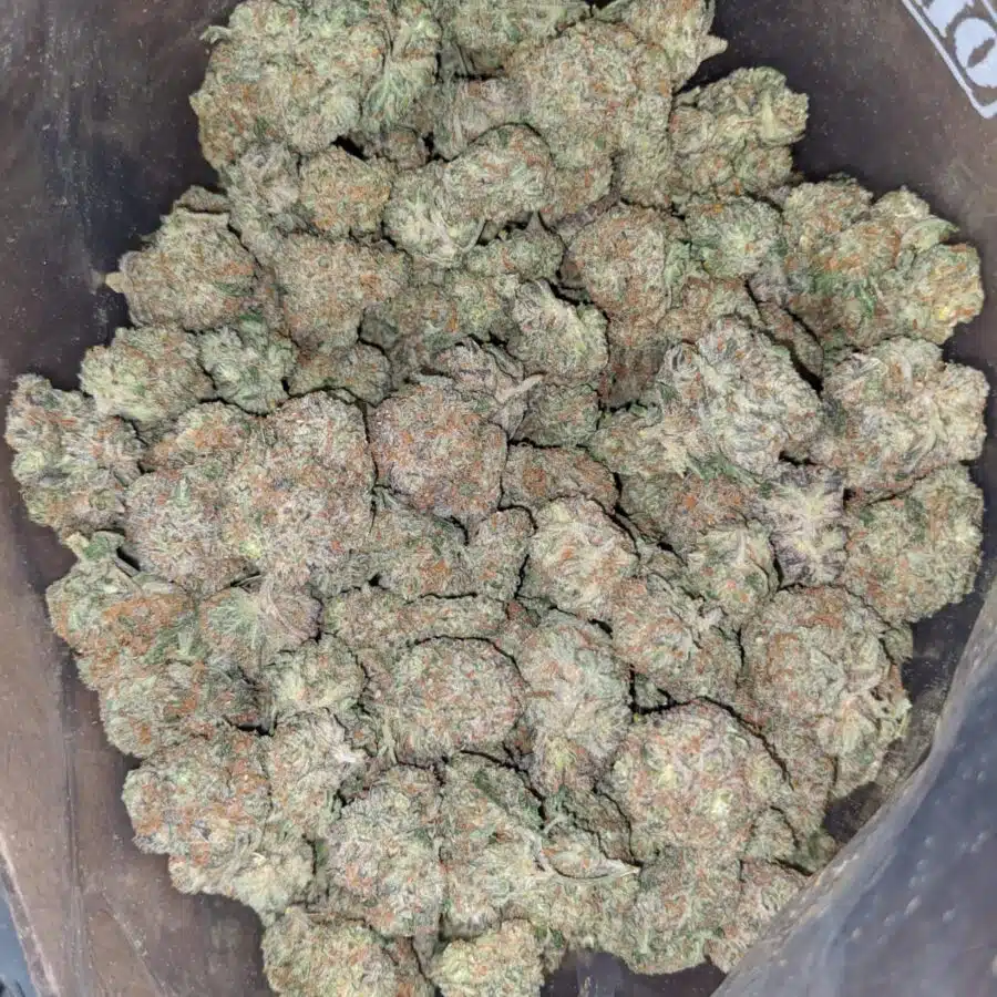 Alternative view of $ 55 Oz - Blackberry