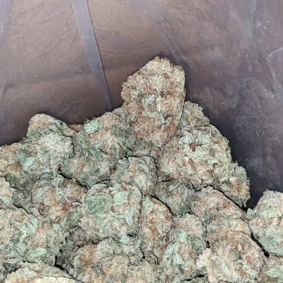 Berry white 1 I Berry White