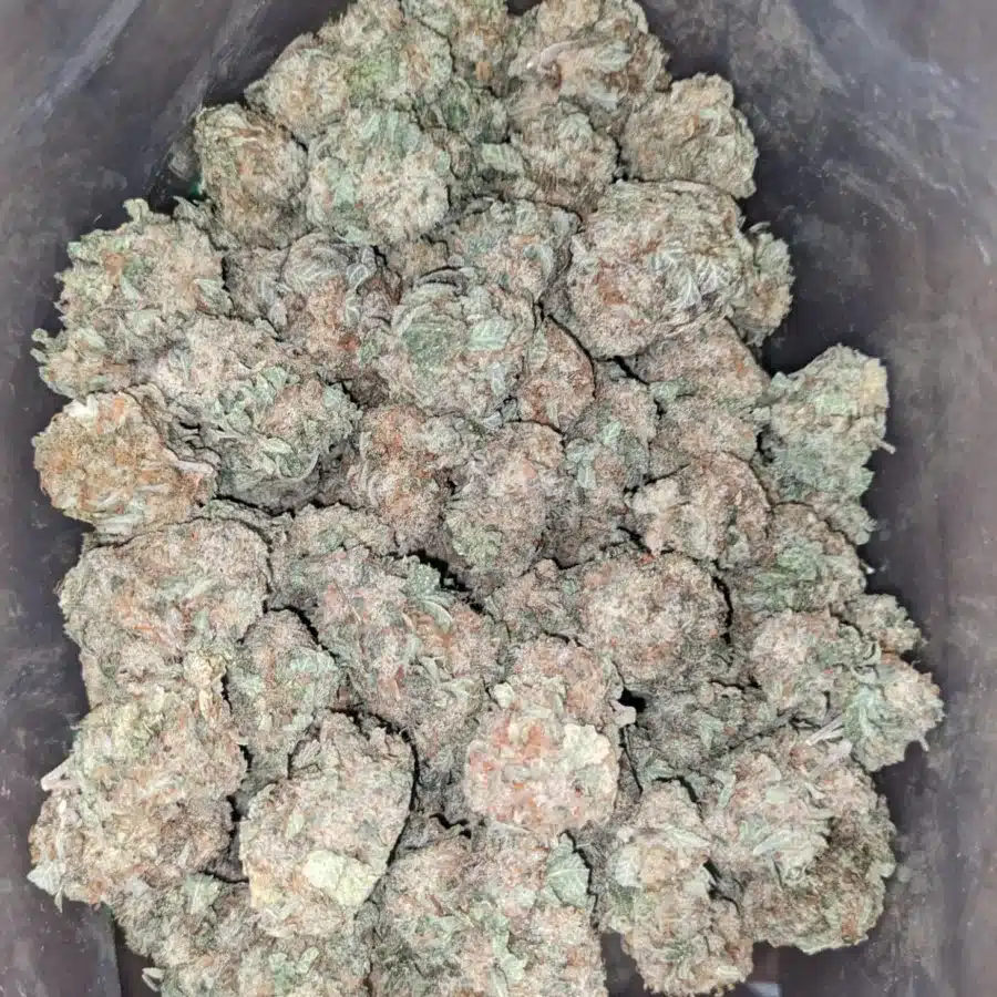 Berry white 2 I Berry White