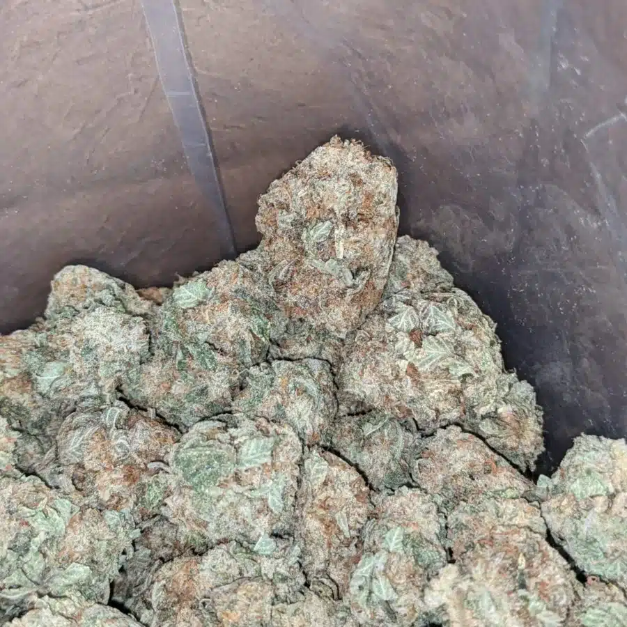 Berry white 3 I Berry White