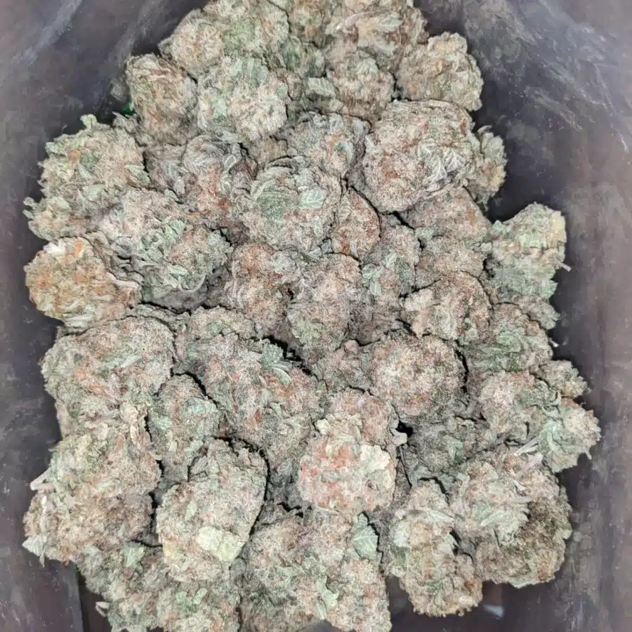 Berry white 4 I Berry White