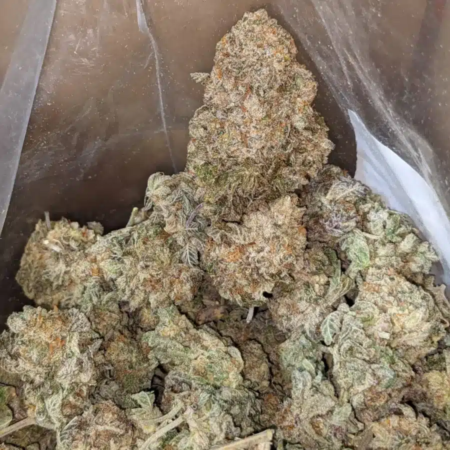 Cookie Breath - Image 5