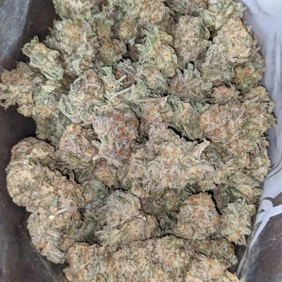 Alternative view of Cookie Breath