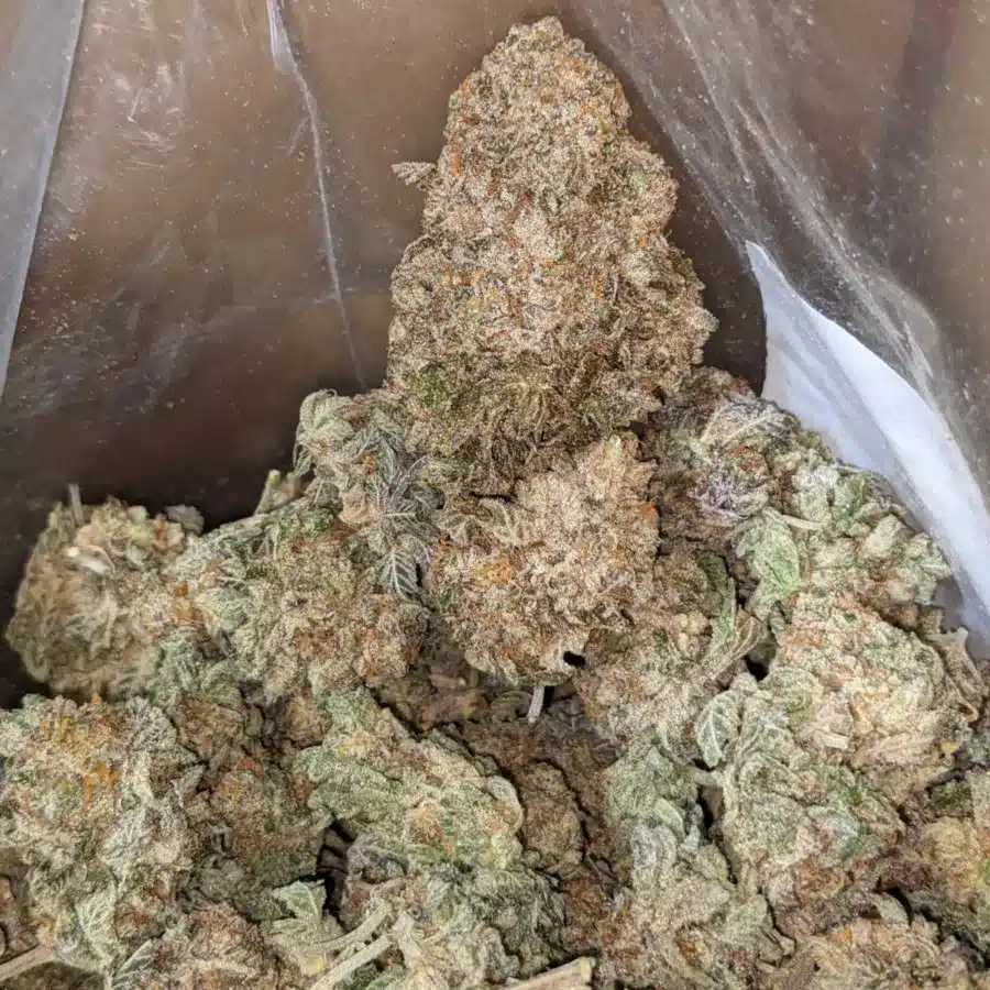 Cookie Breath - Image 7