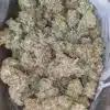 Cookie Breath