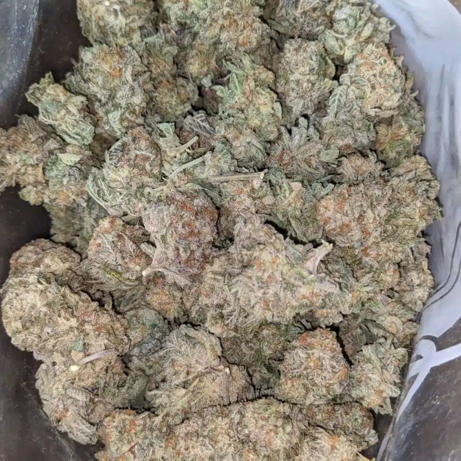 Cookie Breath