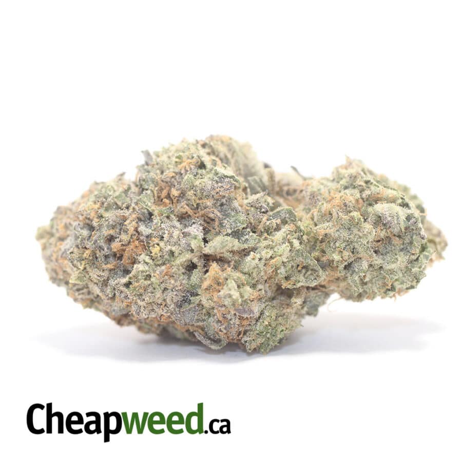 Gelato And Cream