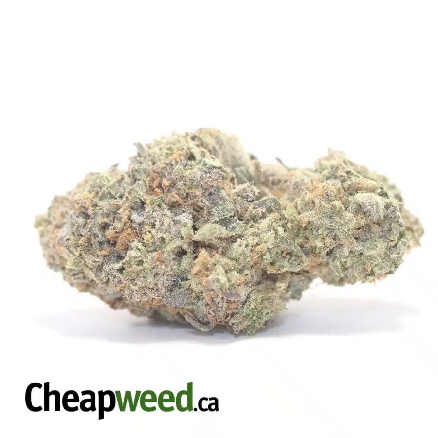 Gelato And Cream