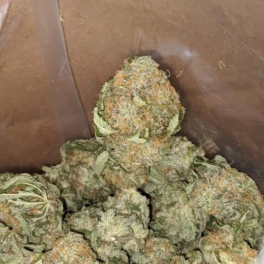 Grape kush 1 1 I Grape Kush