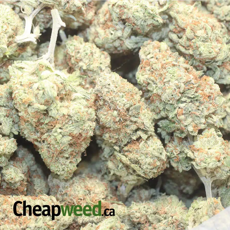 HUCKLYBERRY 1 I $ 66 Oz - Huckleberry