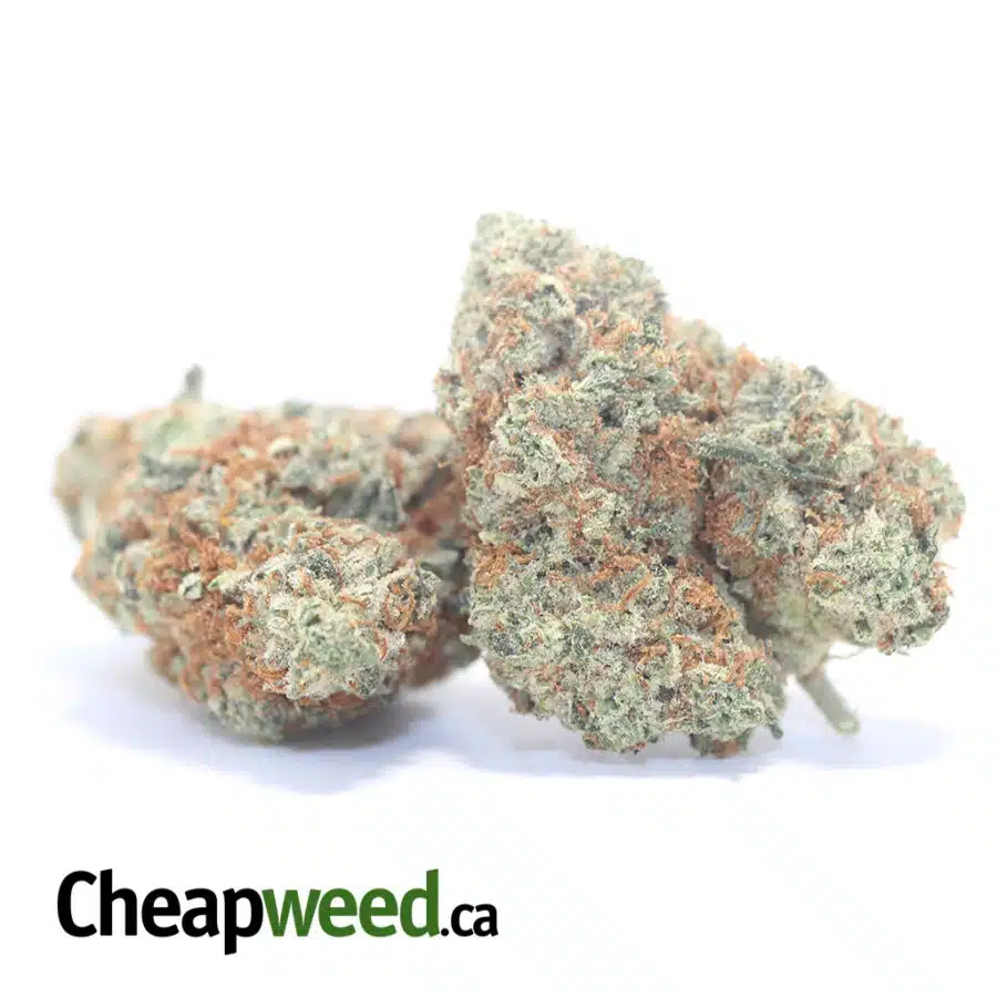 HUCKLYBERRY 3 I $ 66 Oz - Huckleberry