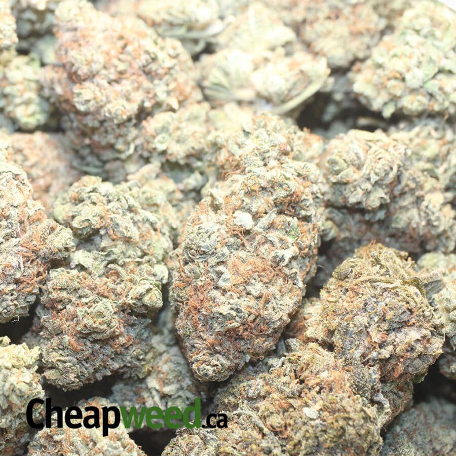 JTR 1 I Jack The Ripper