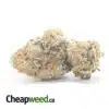 $ 68 Oz - King Tut