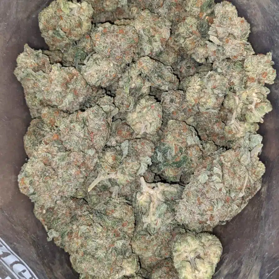 King Tut