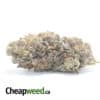 Purple Icewreck