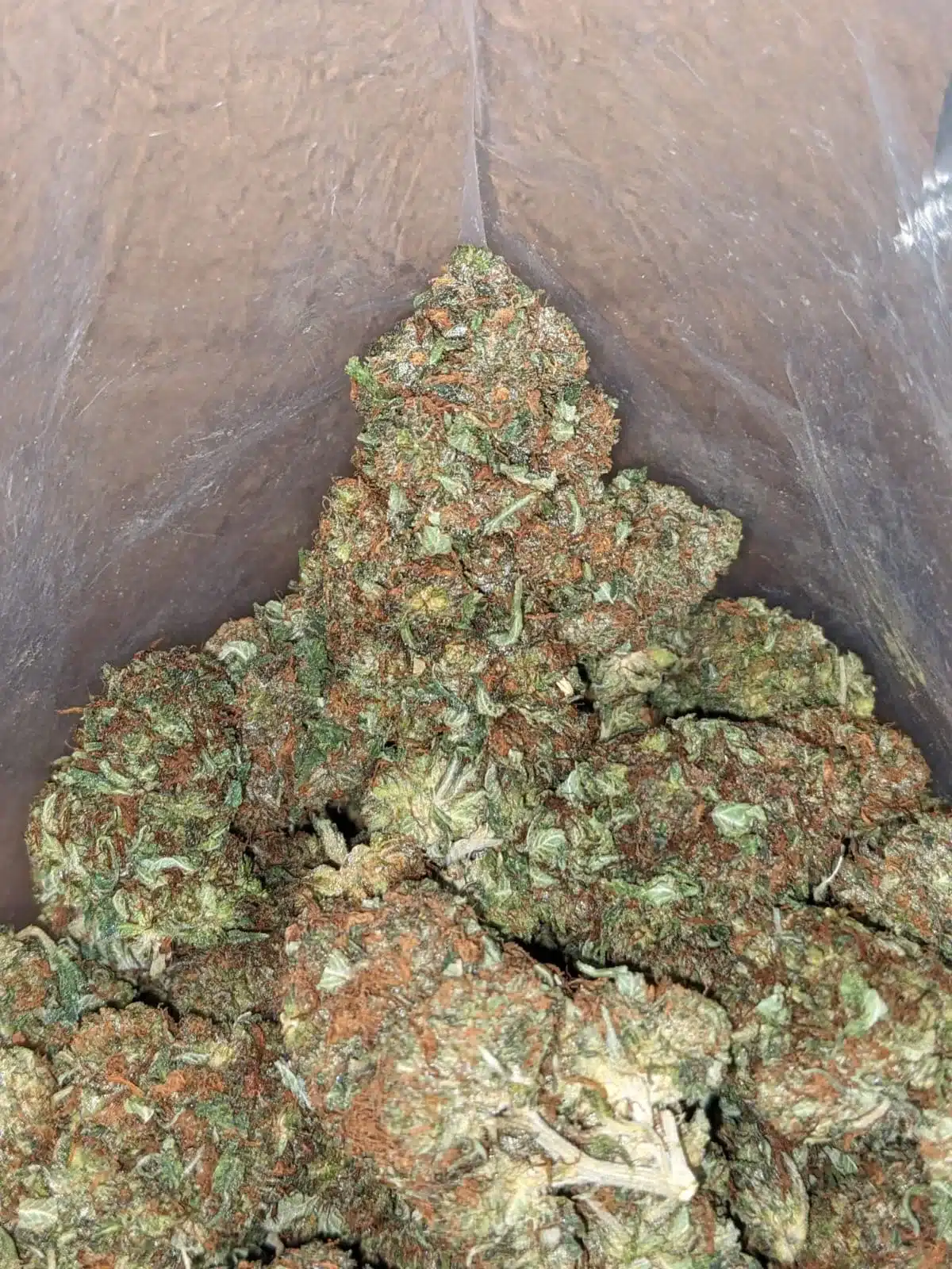 Scrappy Bubba - Image 4