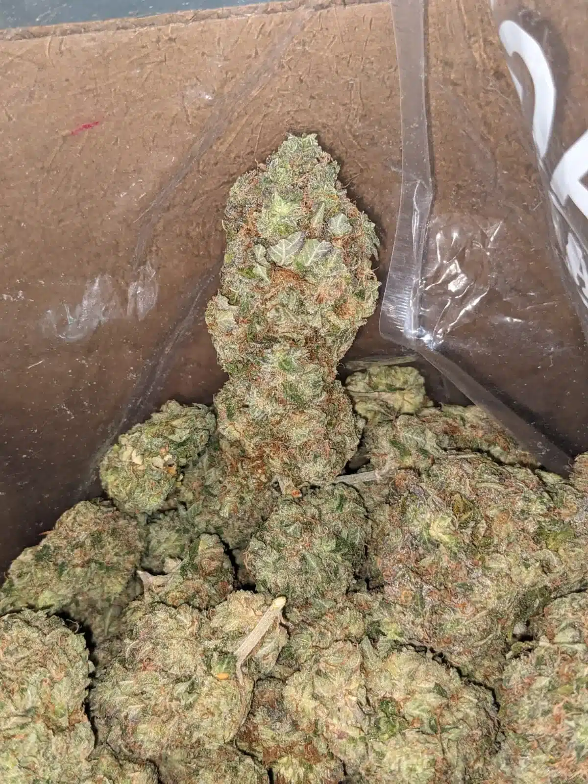 Tony's El Chapo - Image 4