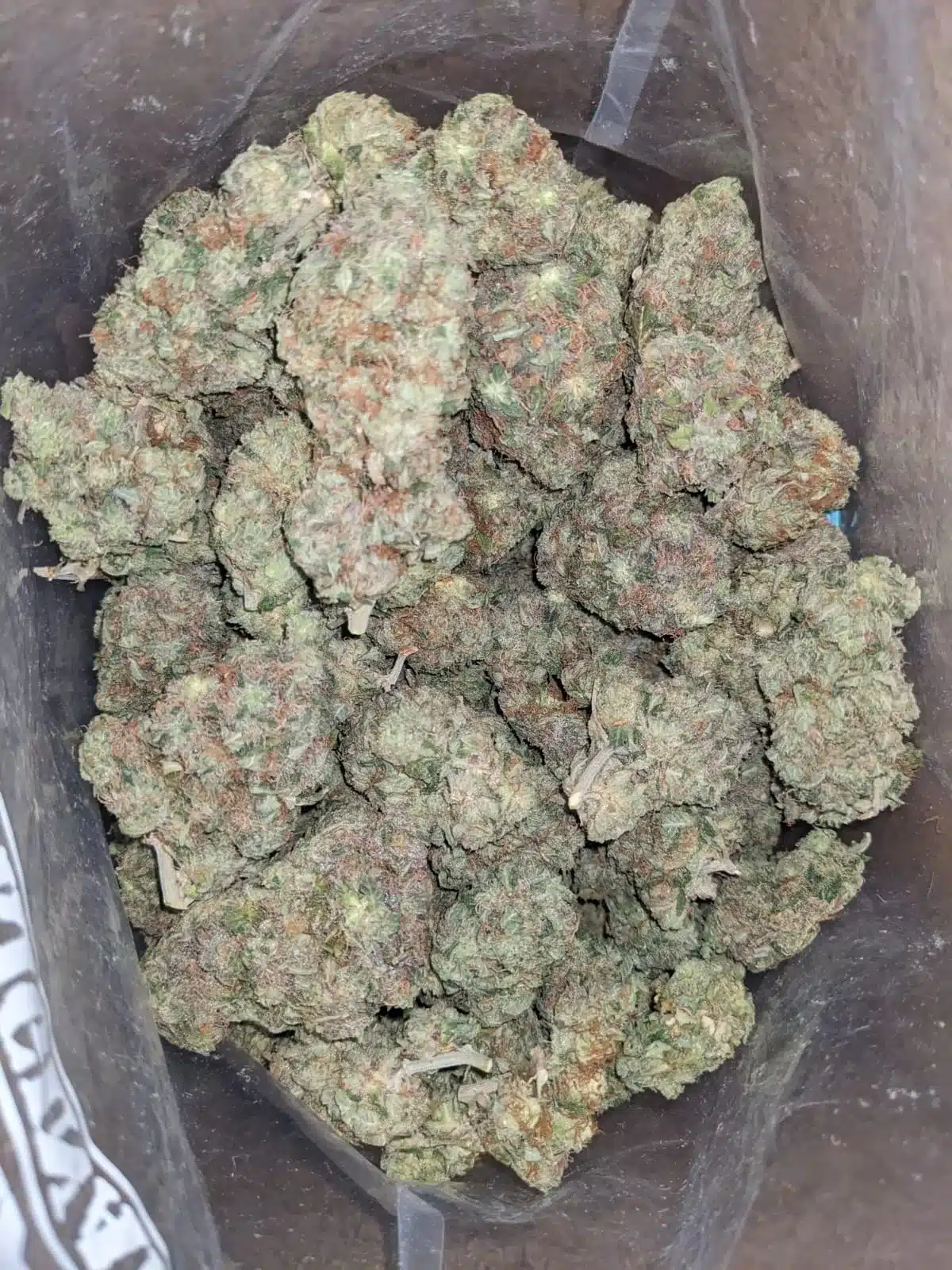 Tony's El Chapo - Image 6