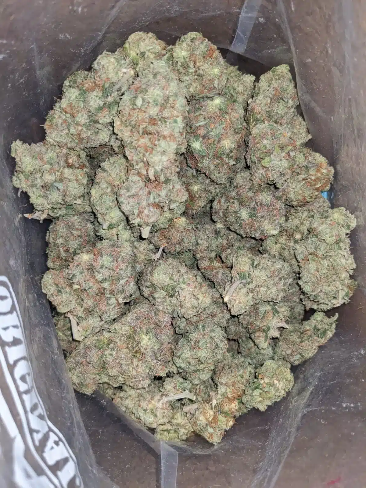 Tony's El Chapo - Image 5
